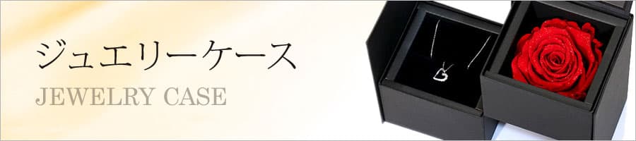 タイトルイメージ画像