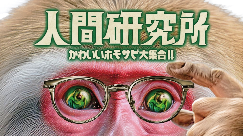 【ロケ地/衣装提供】